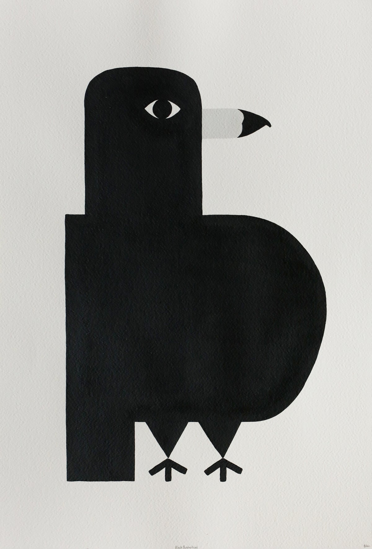 Edan Azzopardi | Black butcherbird