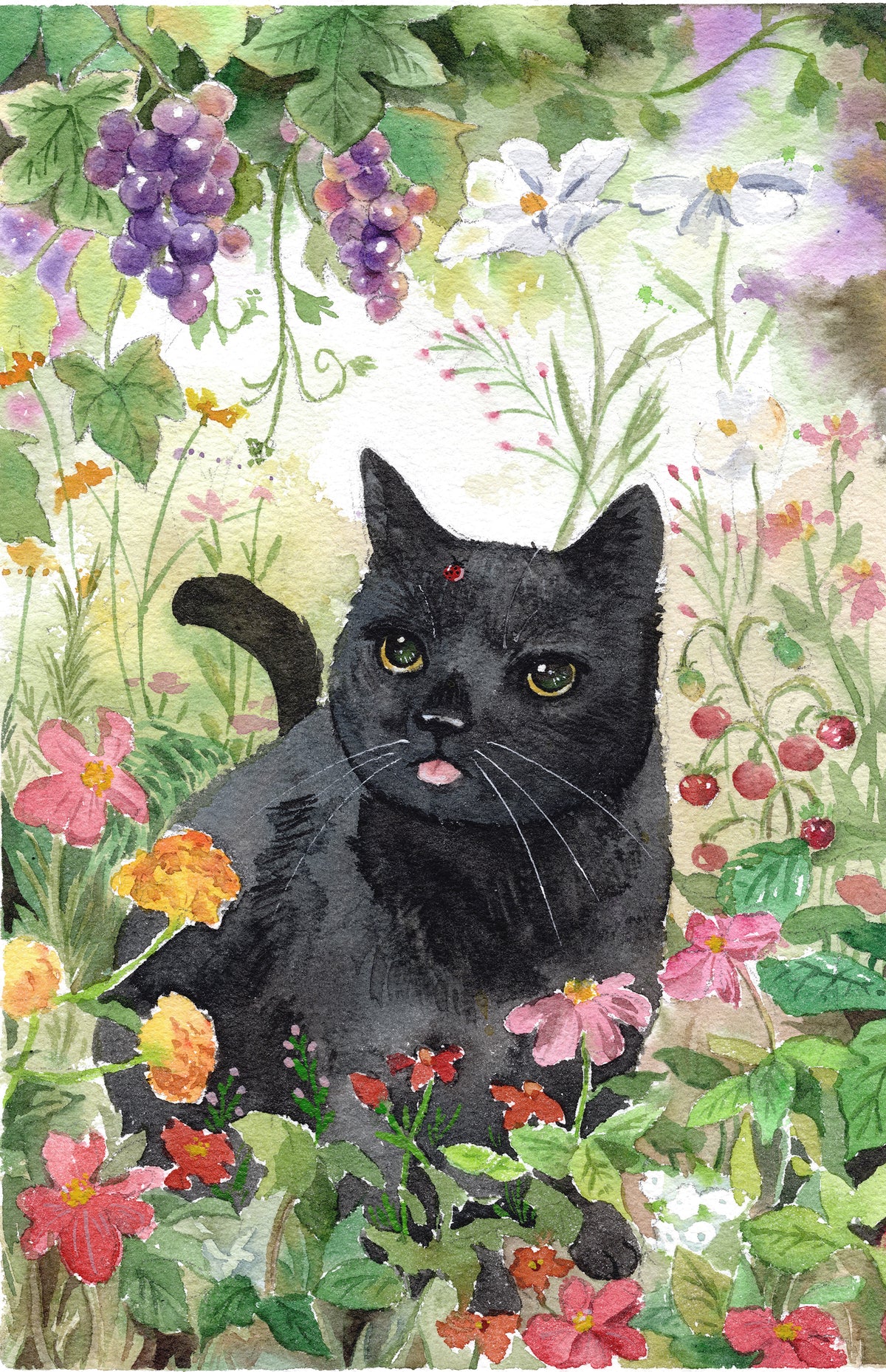 Nancy Liu | Black cat and lady bug