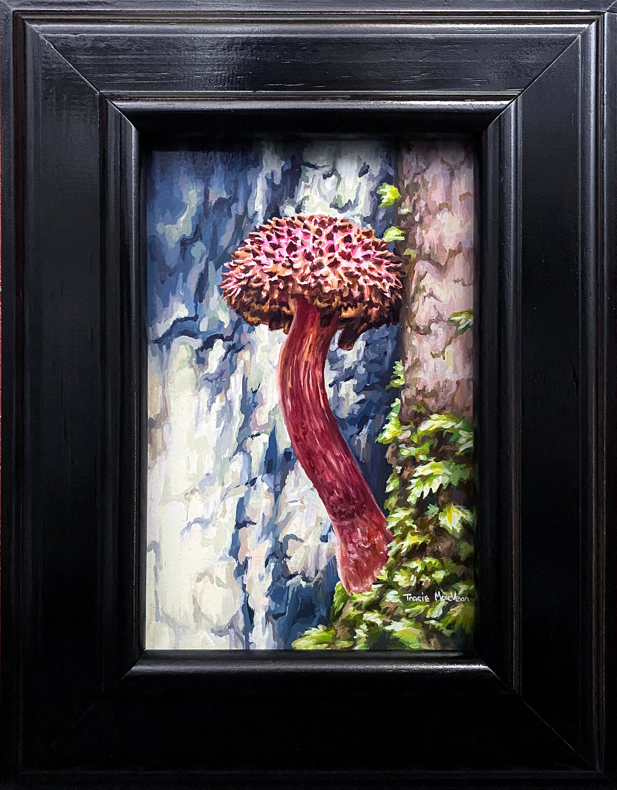 Tracie MacVean | Boletellus
