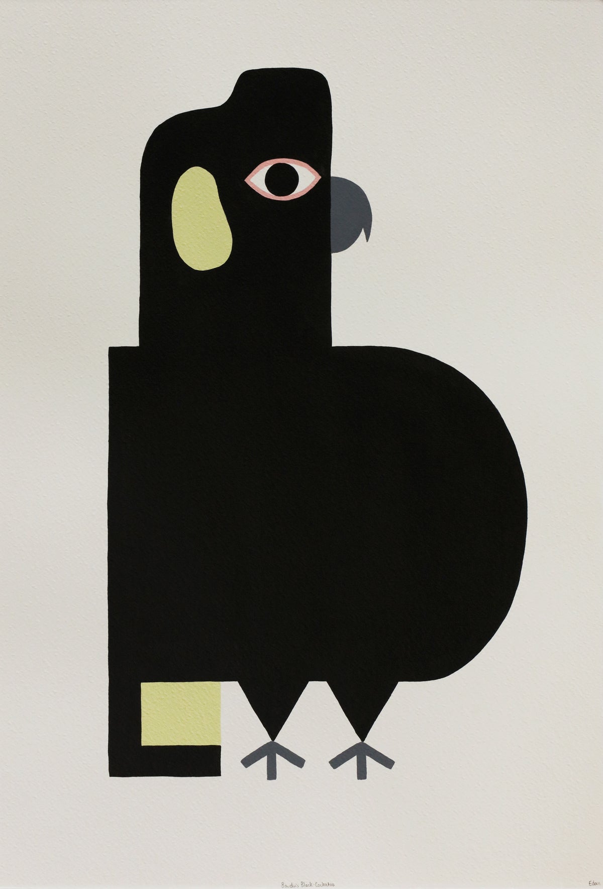 Edan Azzopardi | Baudin’s black cockatoo