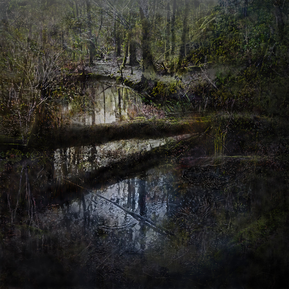 Chris Morgan | Breath of Light IV