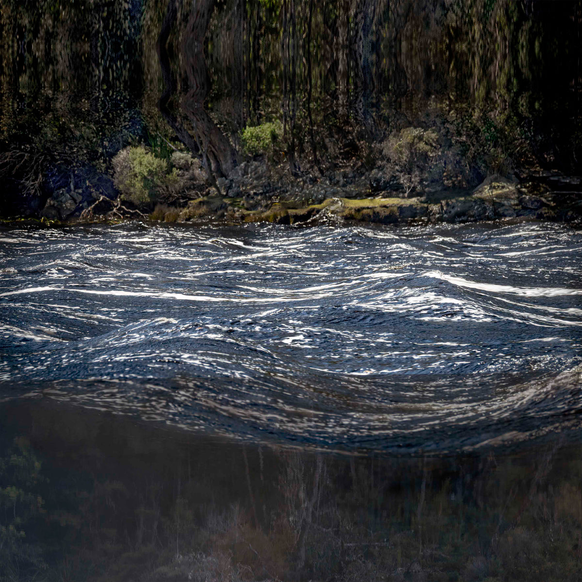 Chris Morgan | Breath of Light I