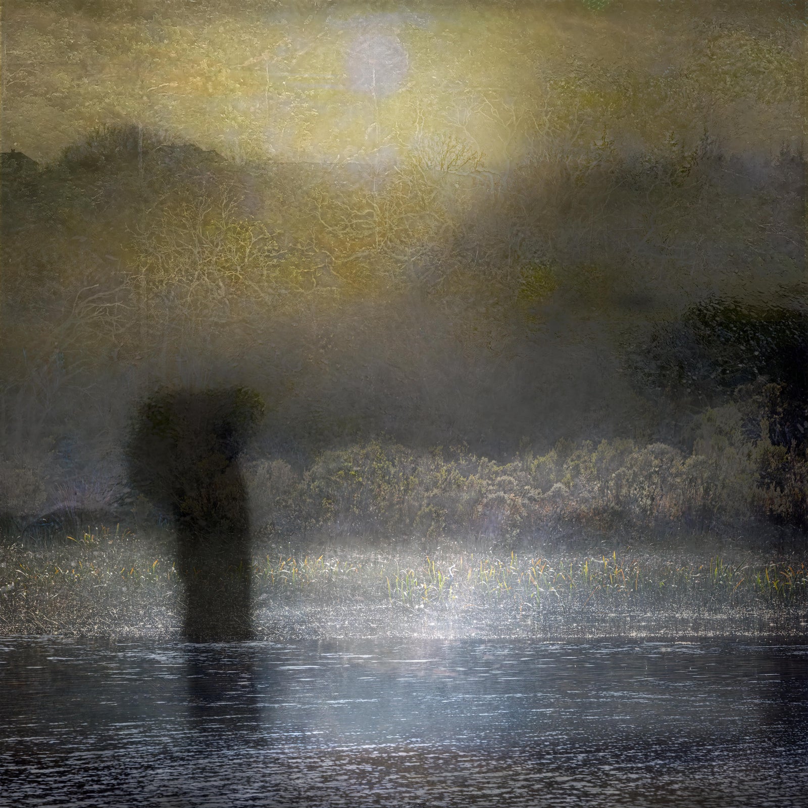 Chris Morgan | Breath of Light VIII