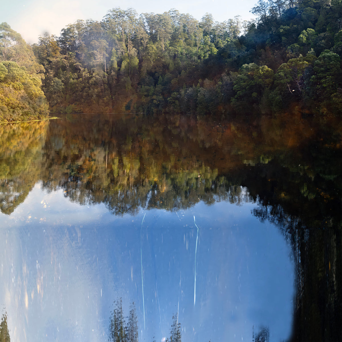 Chris Morgan | Breath of Light V