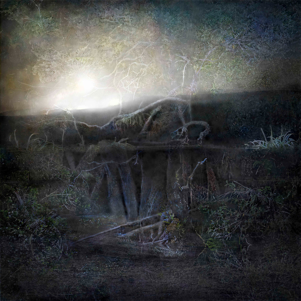 Chris Morgan | Breath of Light X