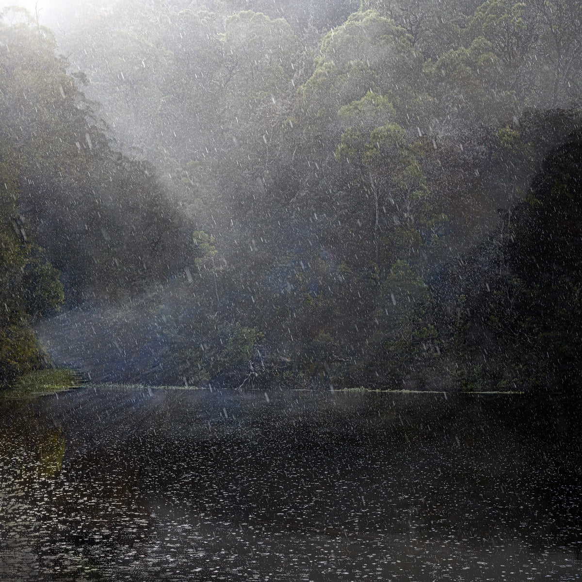 Chris Morgan | Breath of Light II