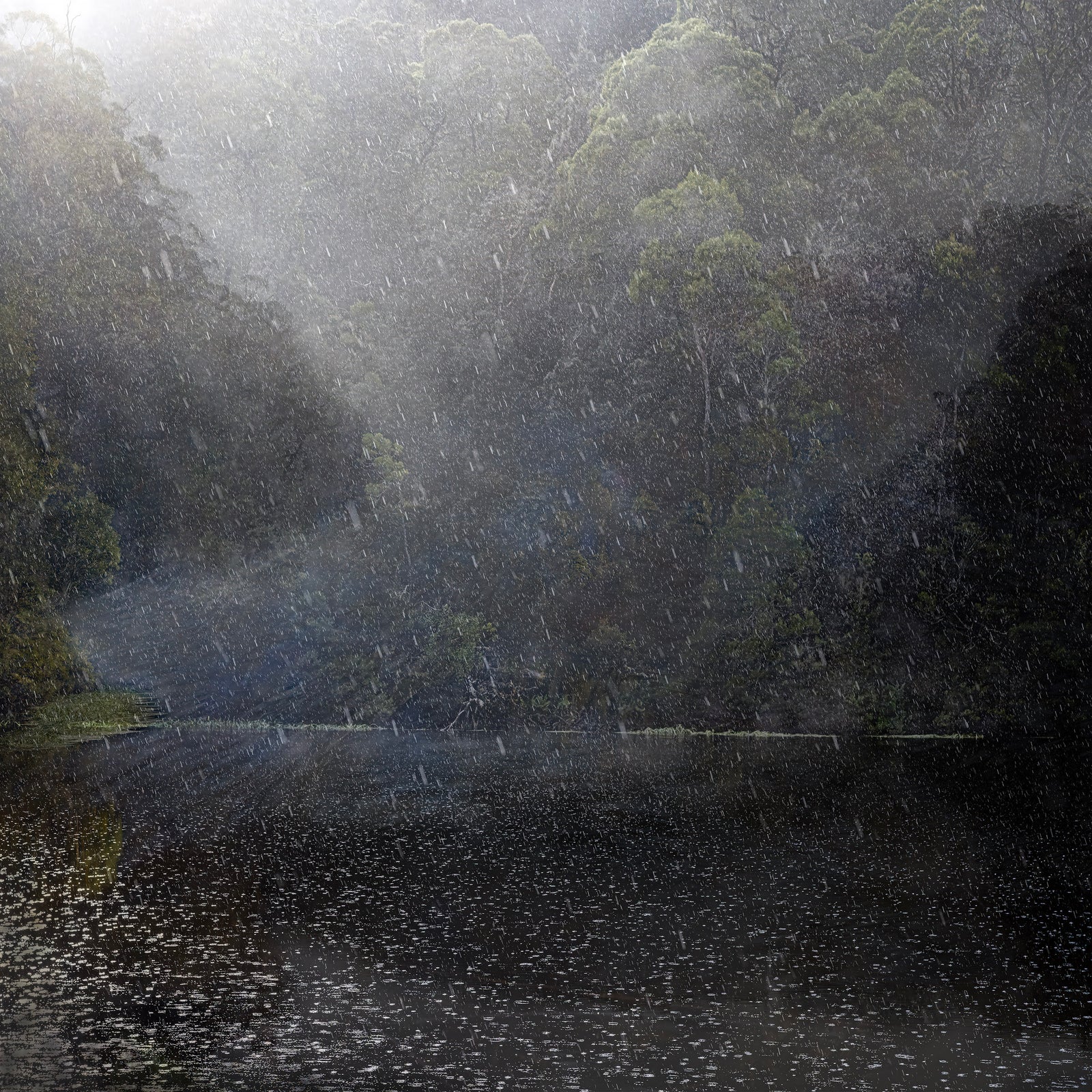 Chris Morgan | Breath of Light II