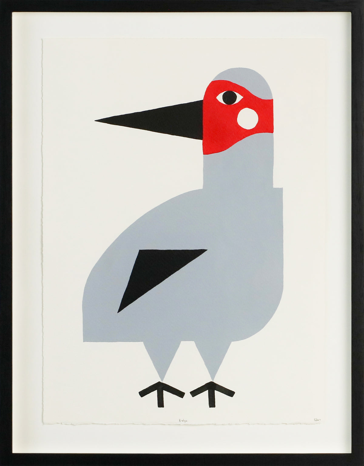 Edan Azzopardi | Brolga