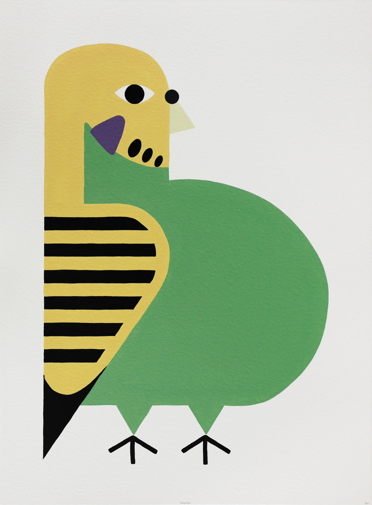 Edan Azzopardi | Budgerigar