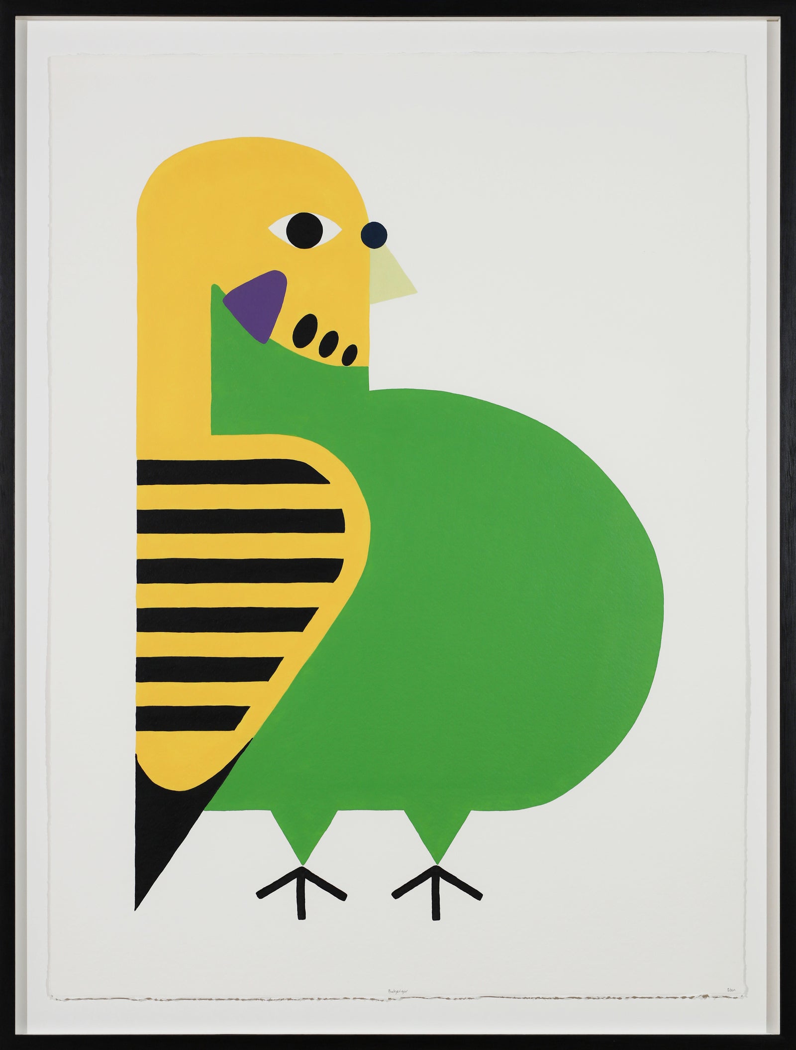 Edan Azzopardi | Budgerigar