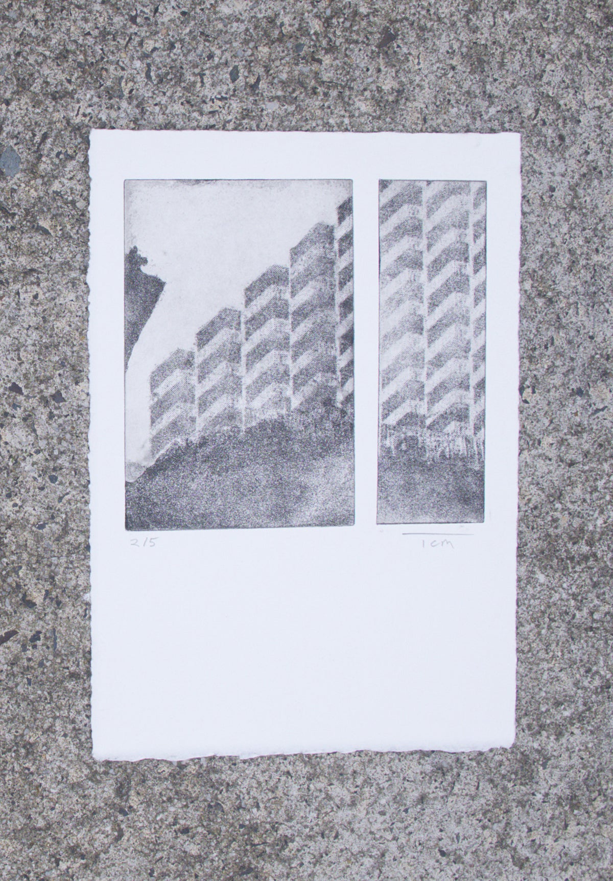 Tom Simmo | Building Housing