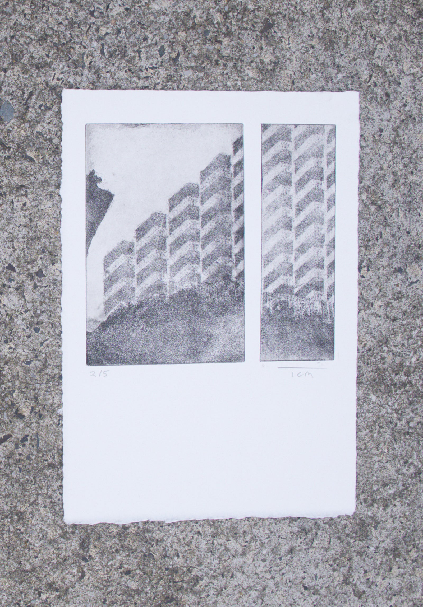 Tom Simmo | Building Housing