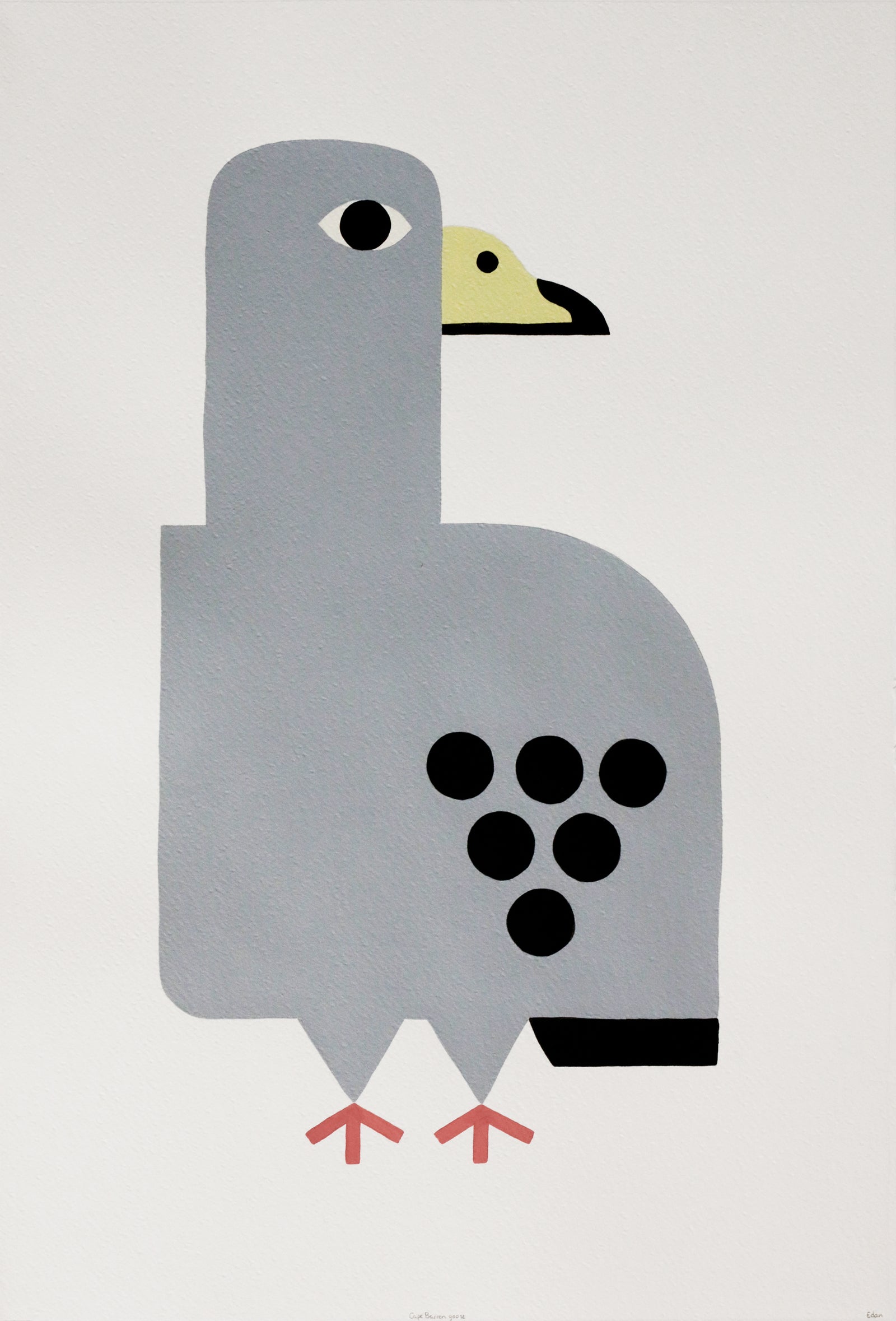 Edan Azzopardi | Cape barren goose