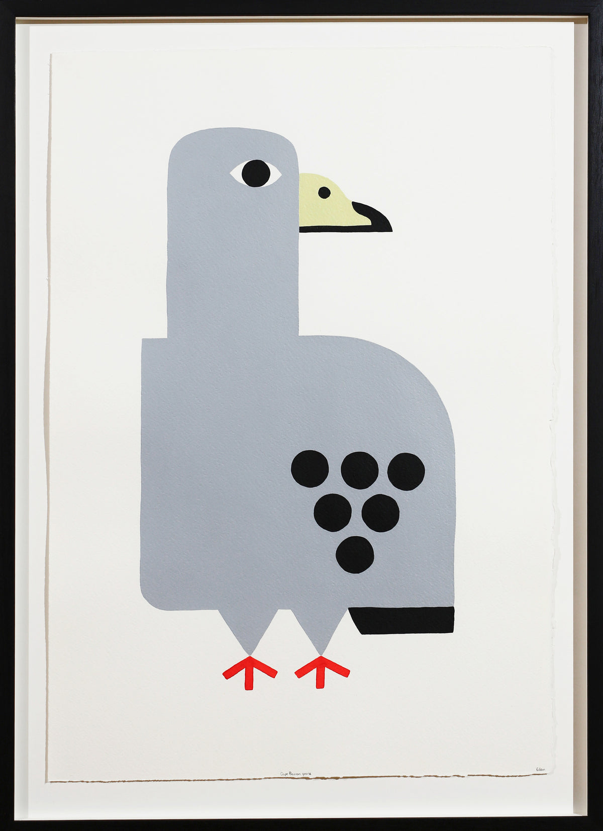 Edan Azzopardi | Cape barren goose