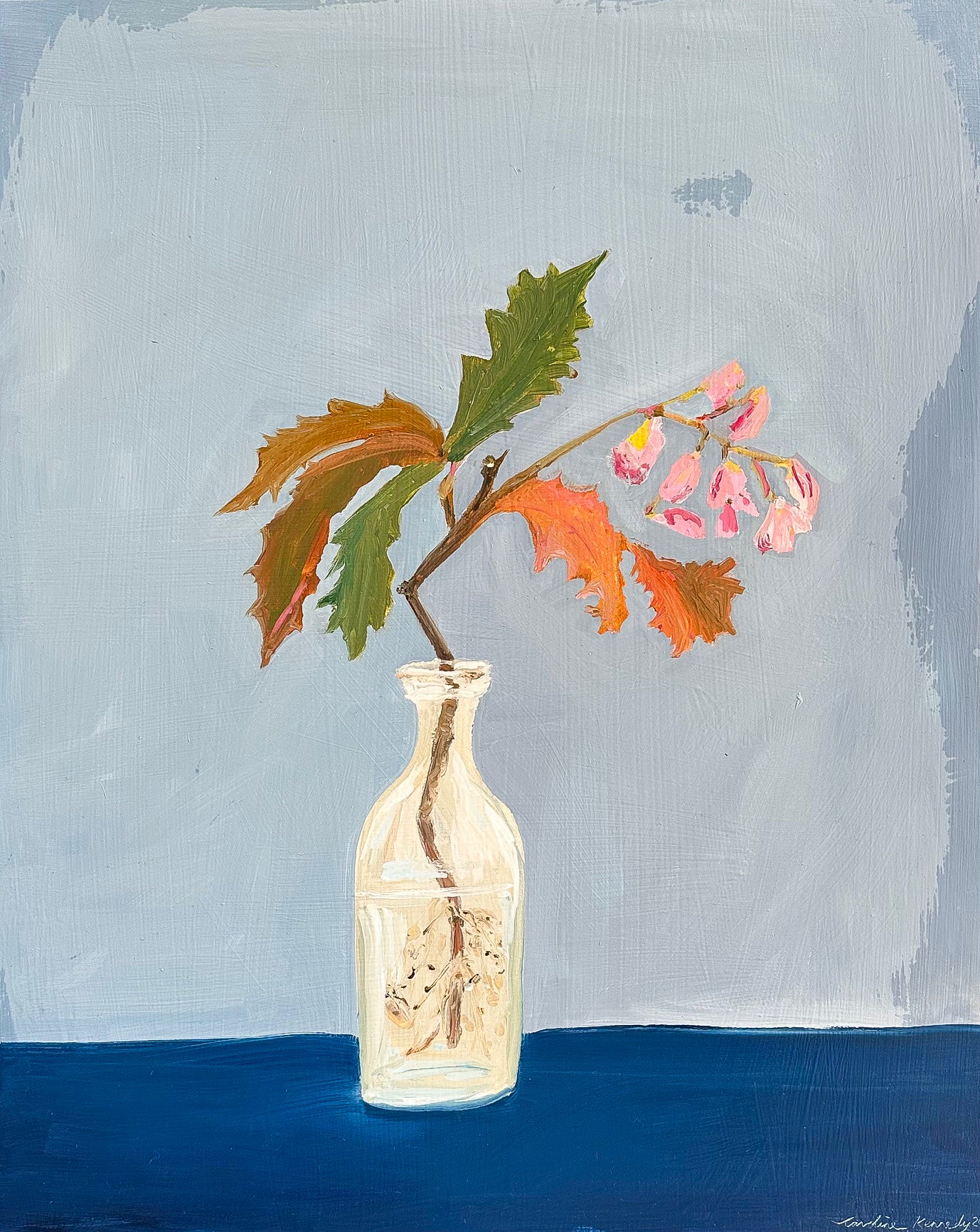 Caroline Kennedy | Begonia in glass bottle