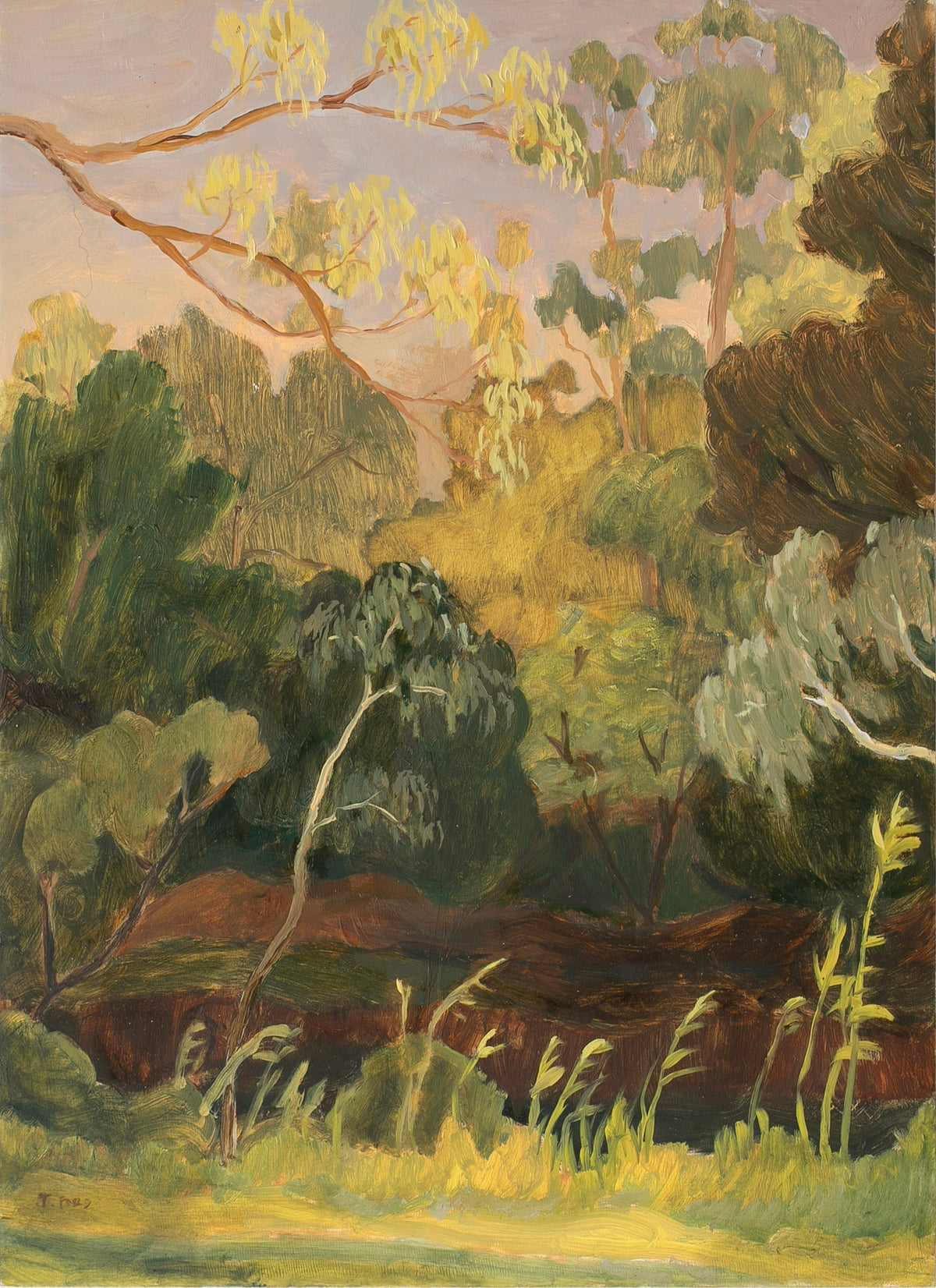 Jessie Rose Ford | Catching Light (Coburg North)