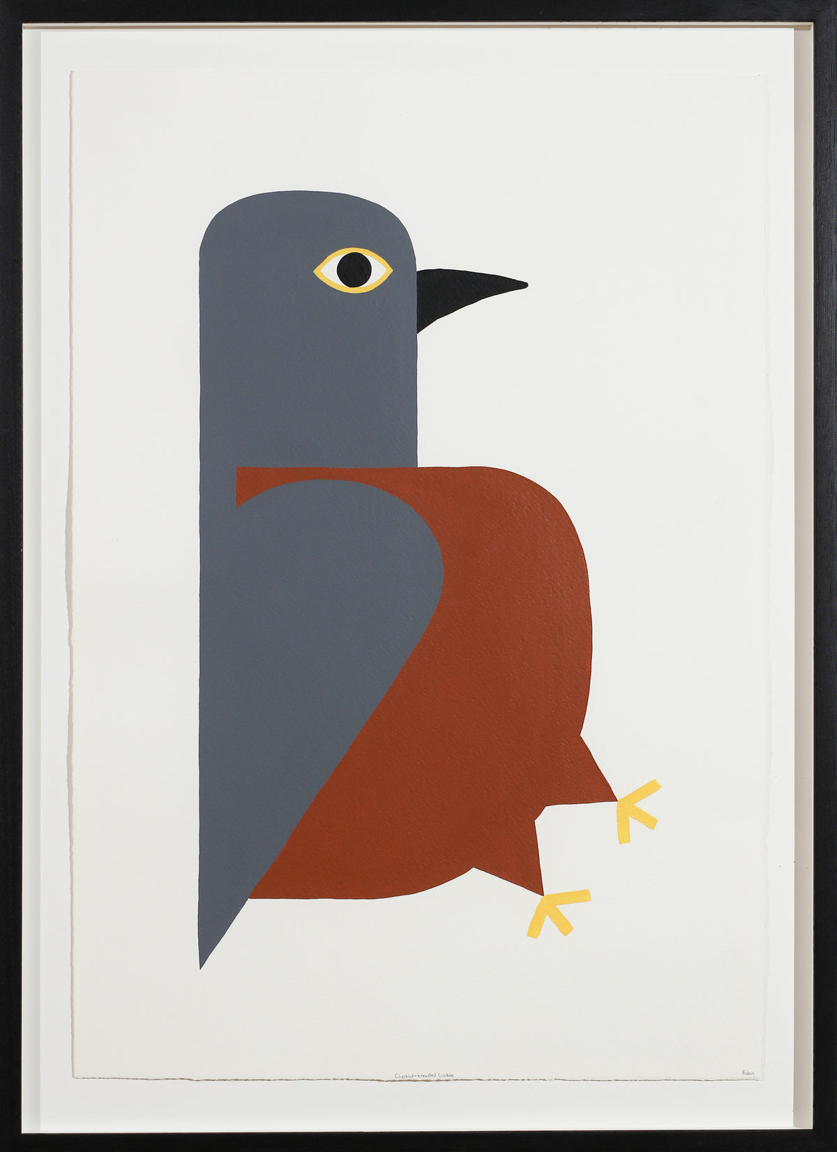 Edan Azzopardi | Chestnut breasted cuckoo