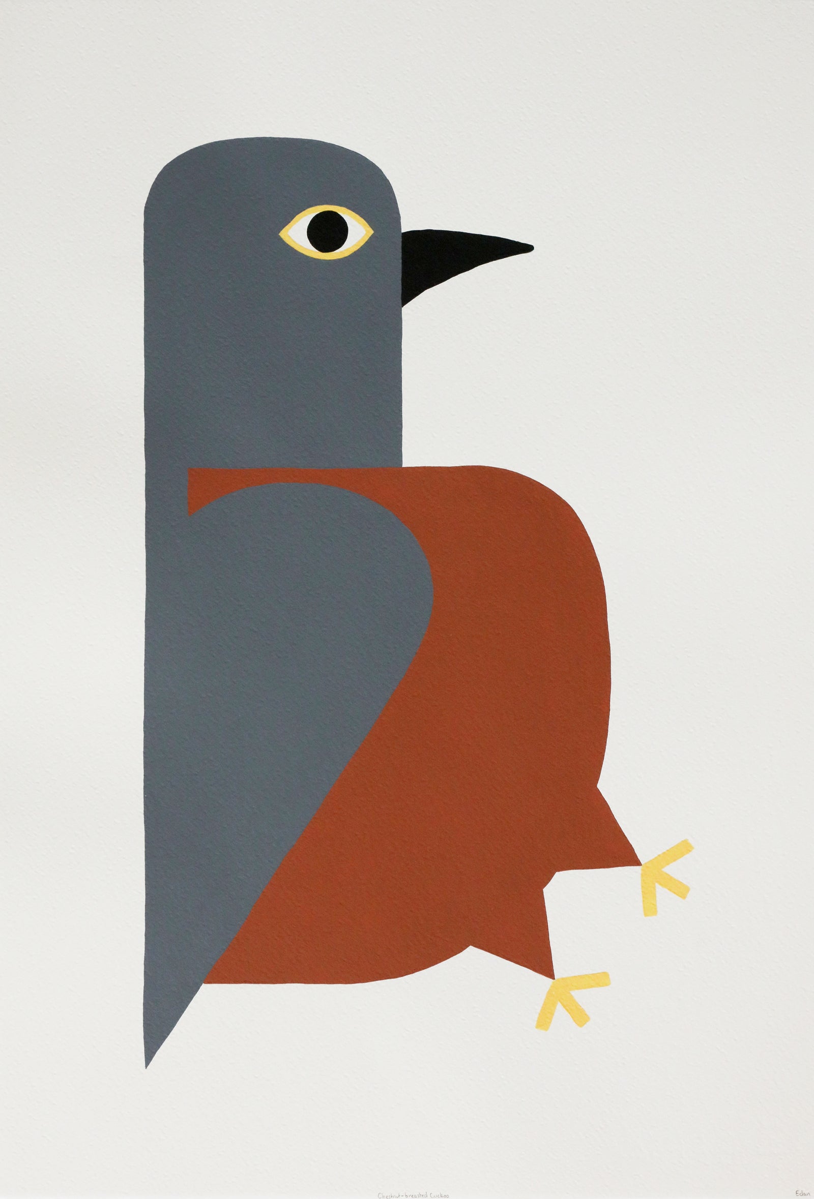 Edan Azzopardi | Chestnut breasted cuckoo