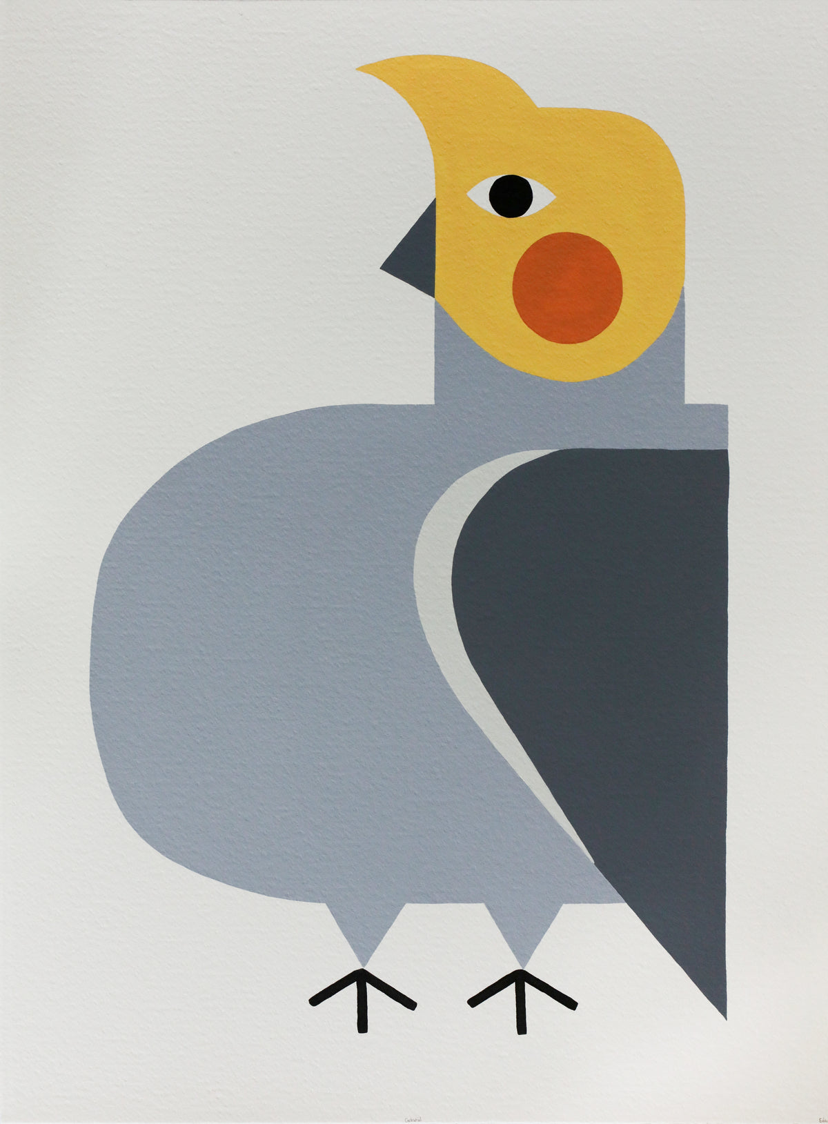 Edan Azzopardi | Cockatiel