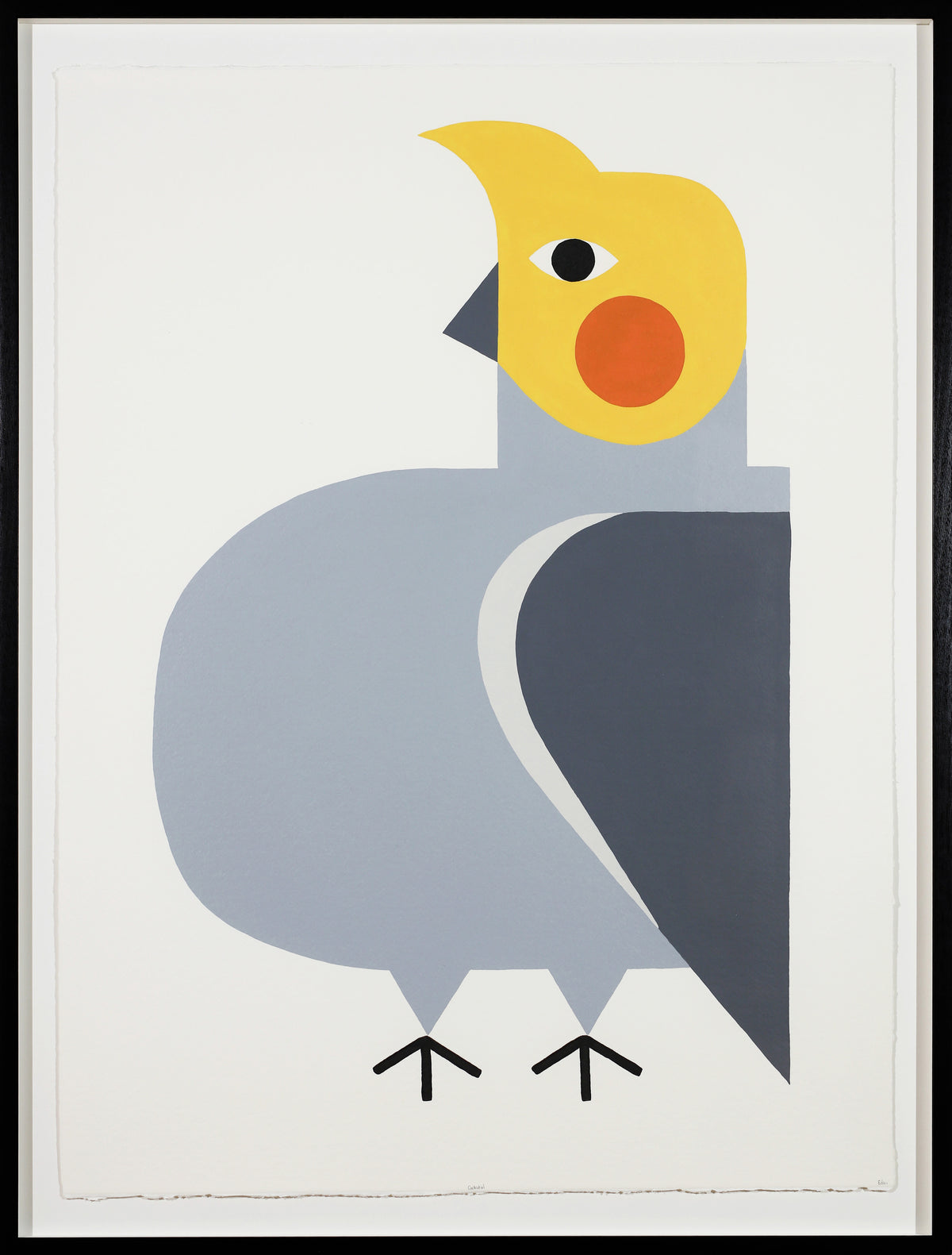Edan Azzopardi | Cockatiel