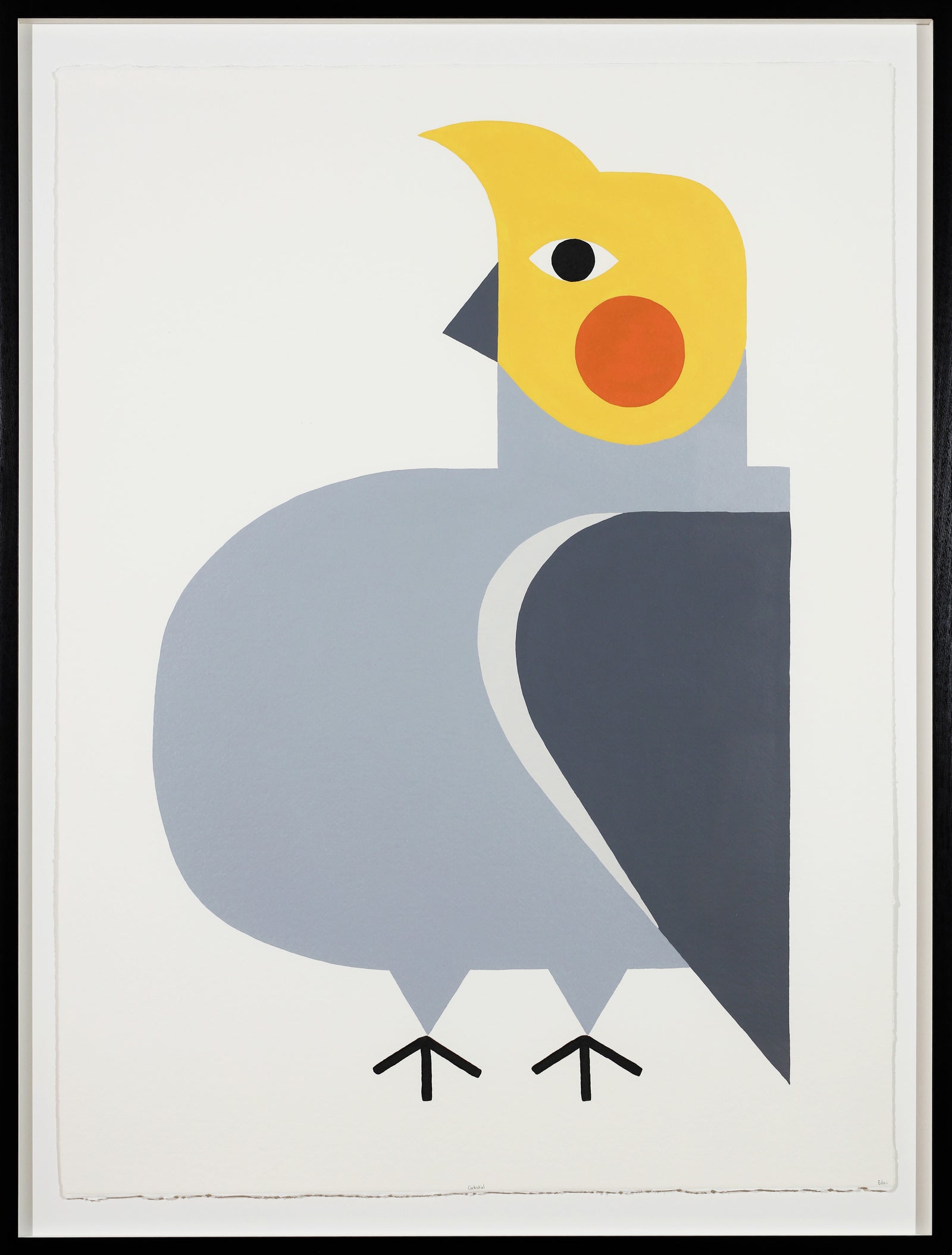 Edan Azzopardi | Cockatiel
