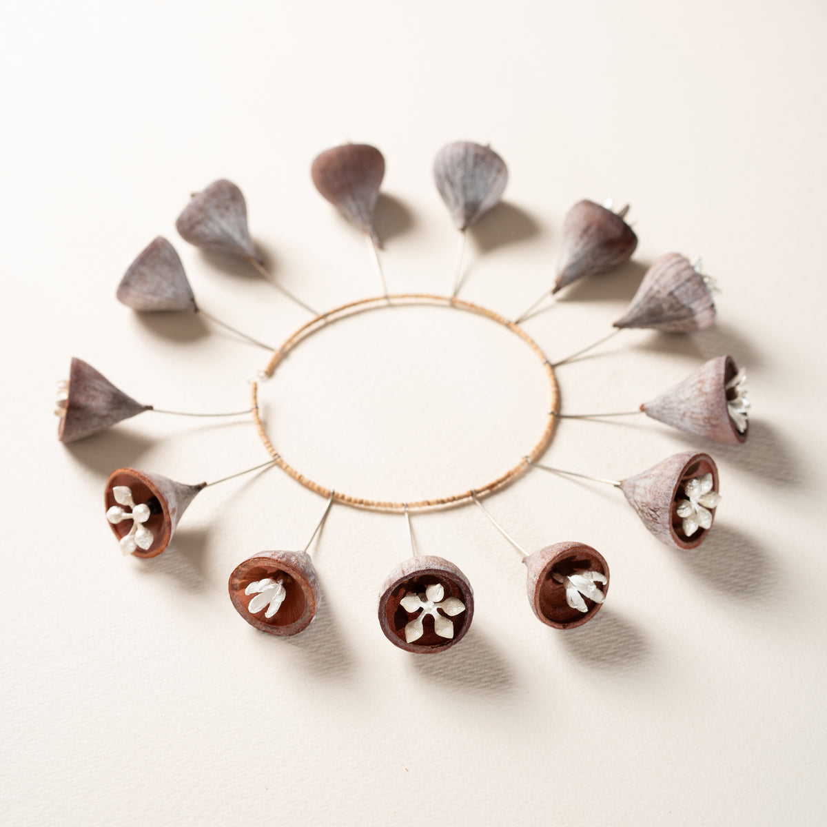 Sultana Shamshi | Silver and Seeds
