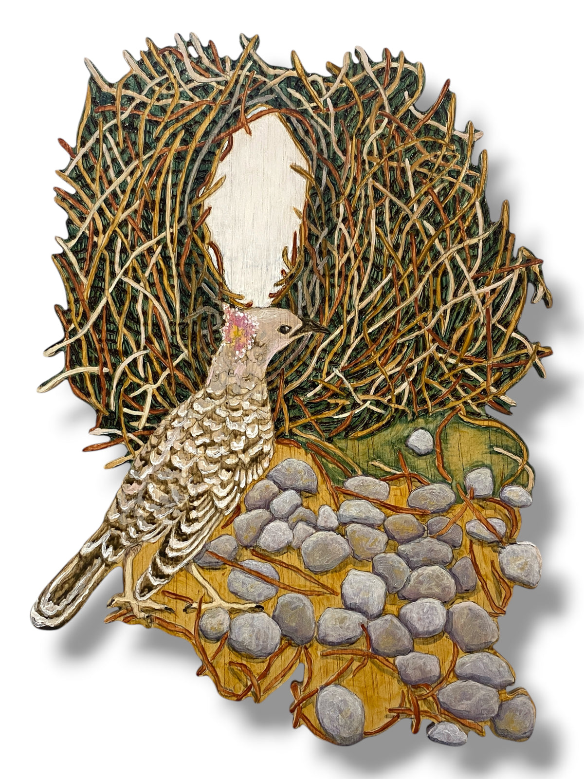 Sonia Martignon | Collect