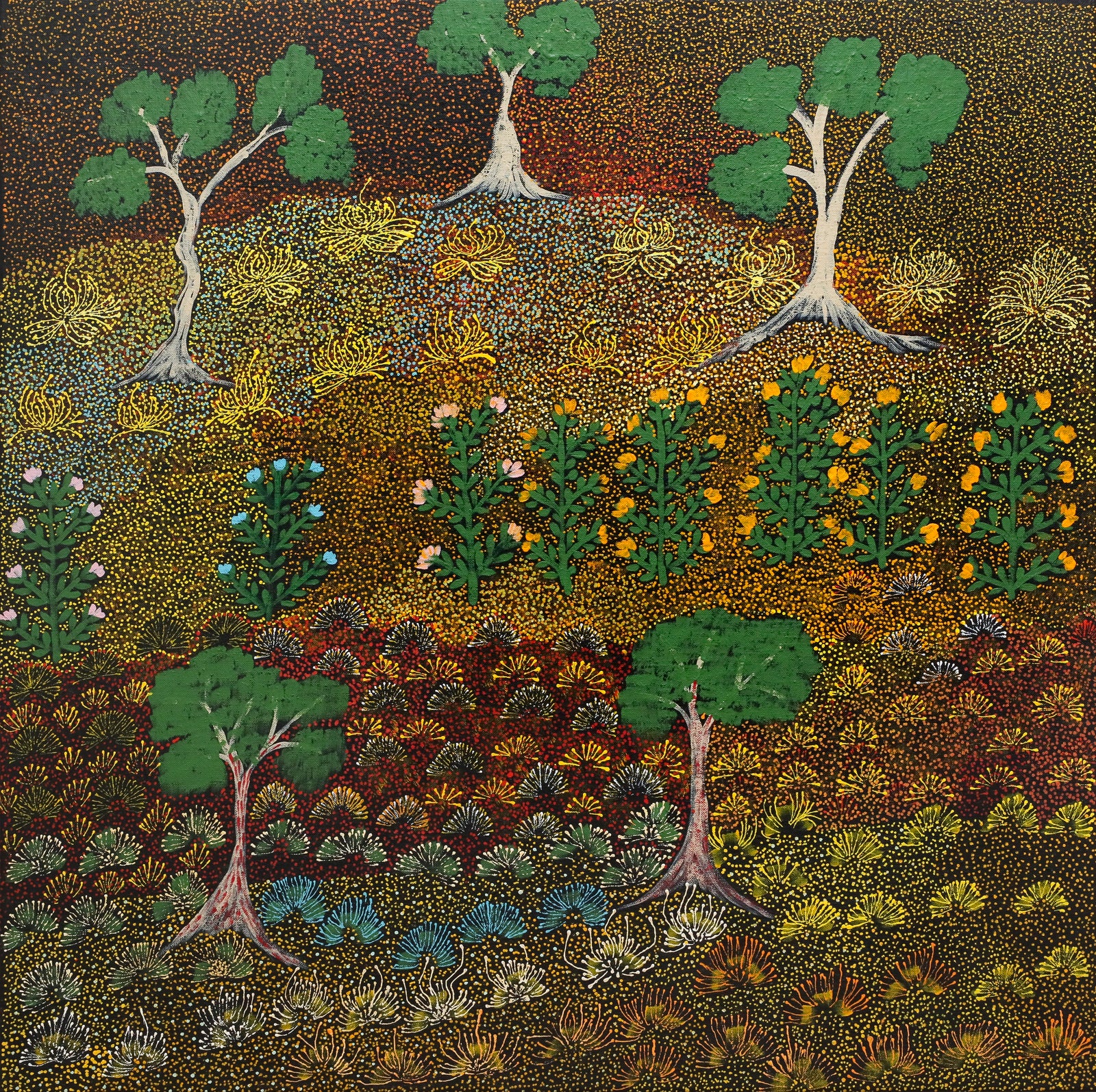 Colleen Ngwarraye Morton | Women's Ceremony and Bush Medicine 650-24