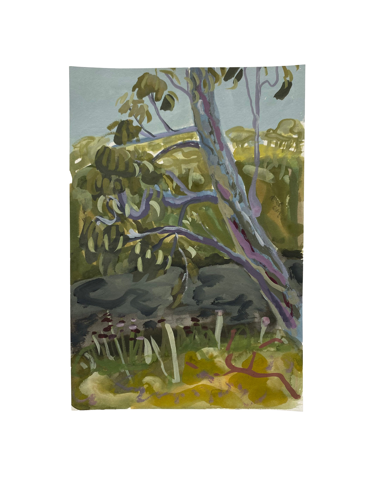 Maddie Sewall | Creek Trees