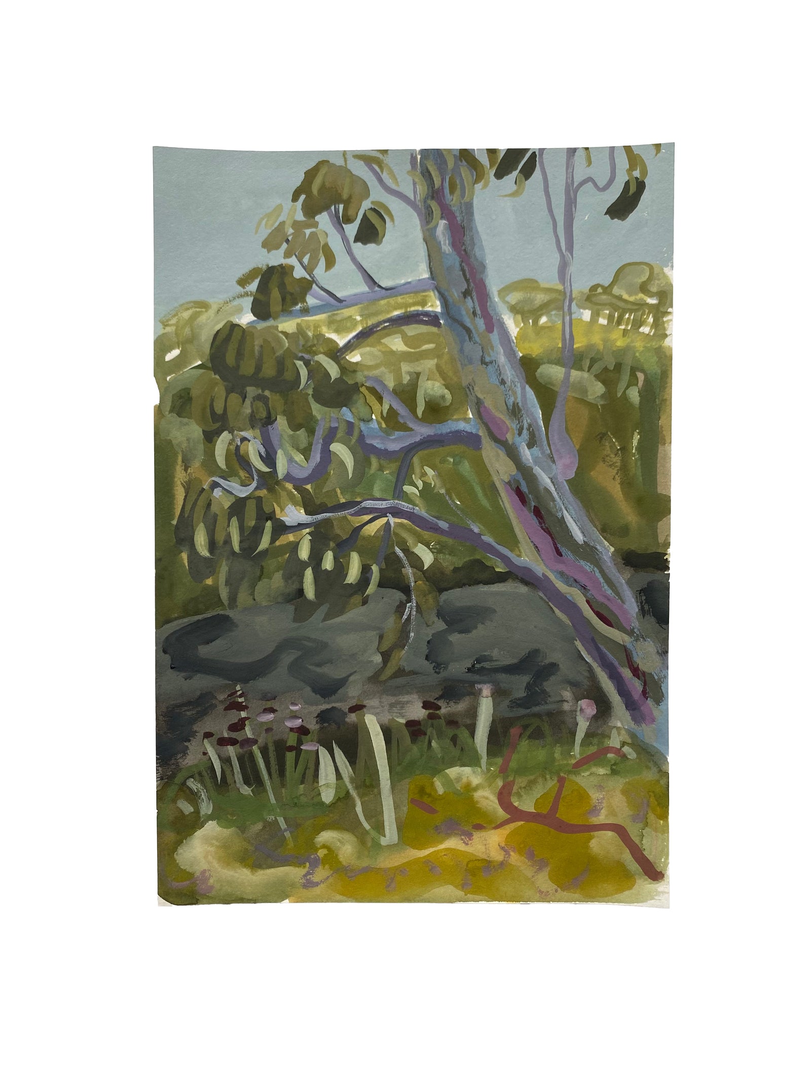 Maddie Sewall | Creek Trees