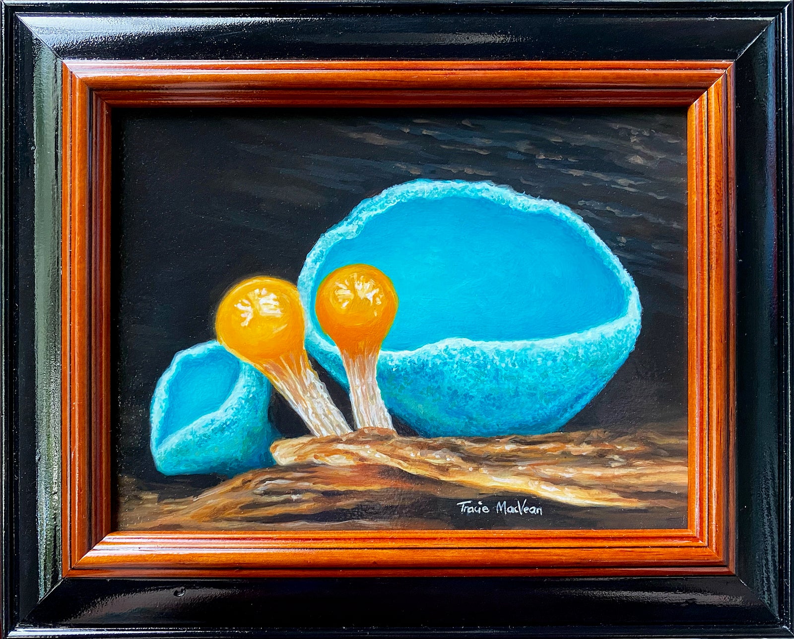 Tracie MacVean | Cup and Slime Mold