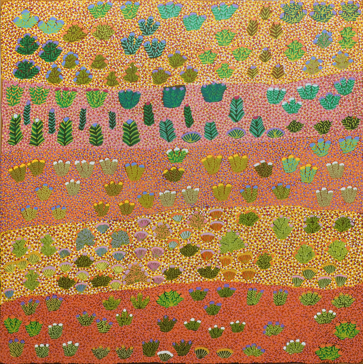 Daisy Kemarre Moss | My Mother's Country 596-24