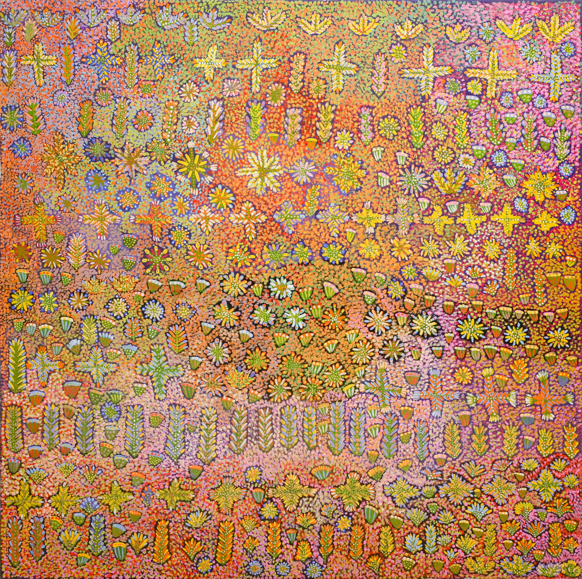 Daisy Kemarre Turner | Irrultja, My Country 146-25