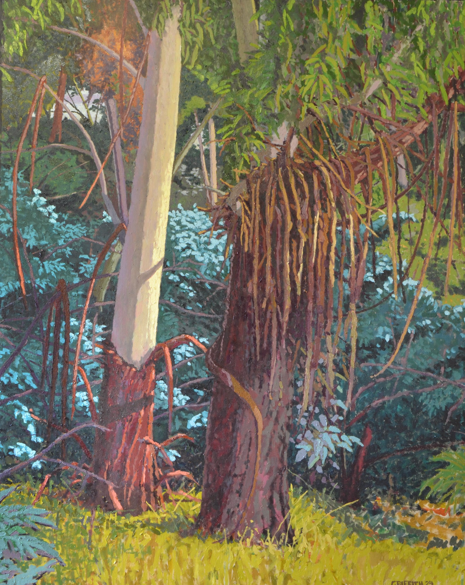 David Griffith | Edgars Creek Landscape