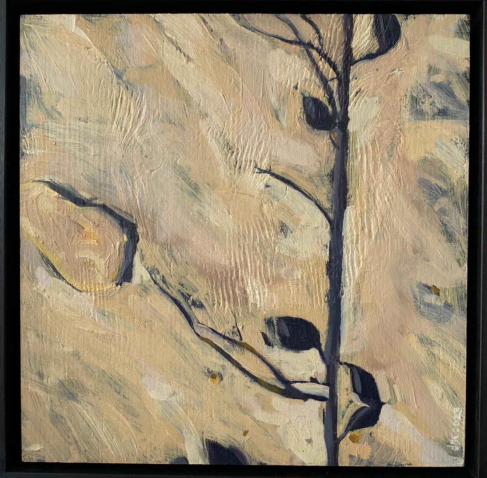 Debbie Mourtzios | Seaweed II