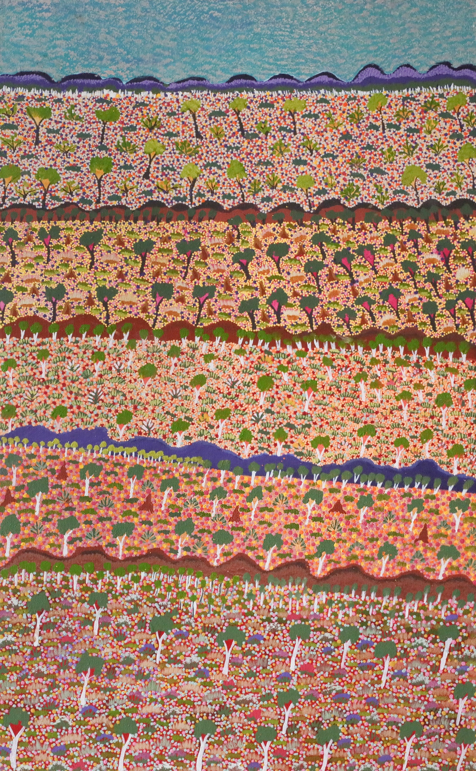 Denise Ngwarraye Bonney | Tijamburra, My Grandmothers Country 459-25