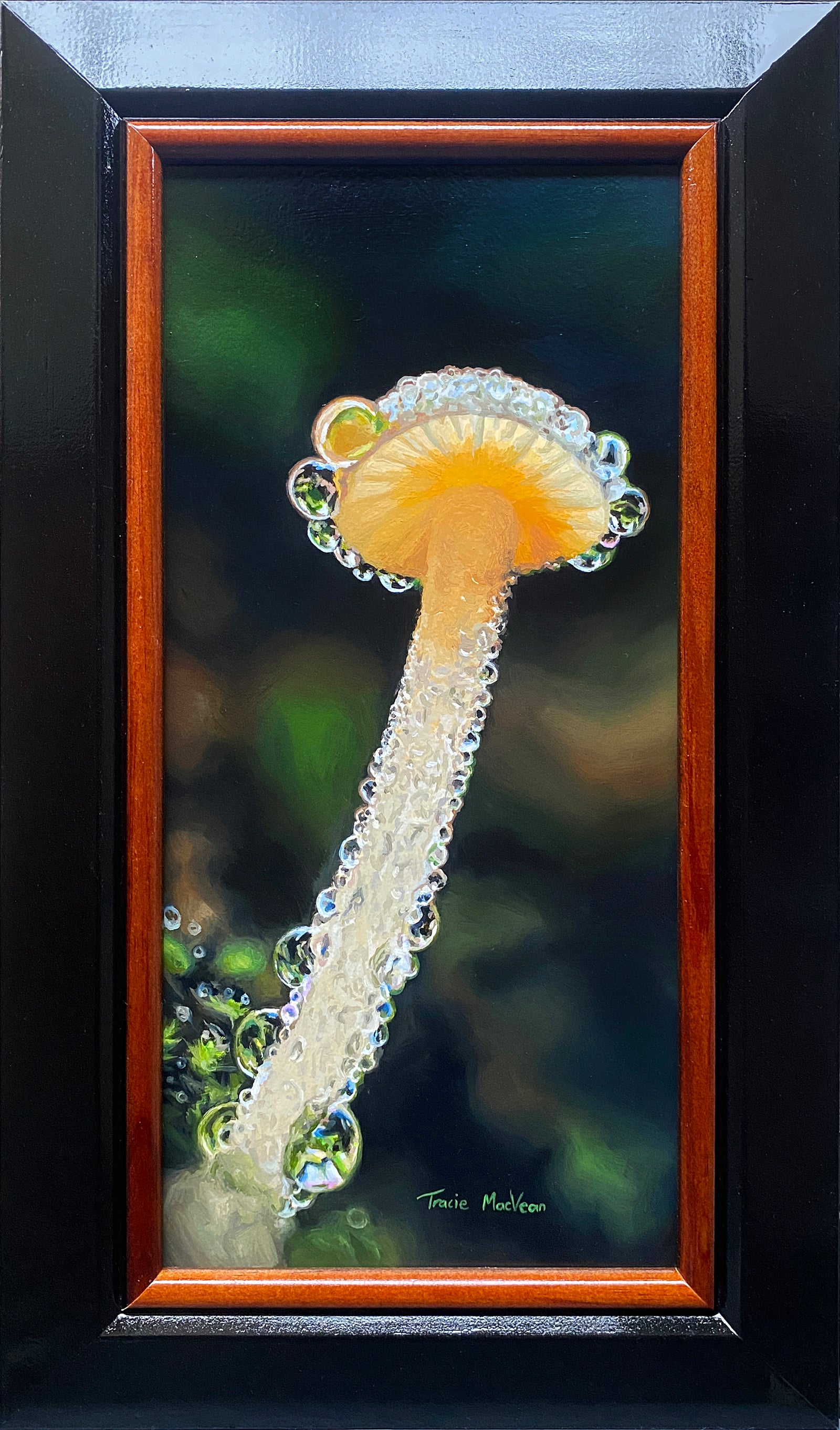 Tracie MacVean | Dewy Mycena