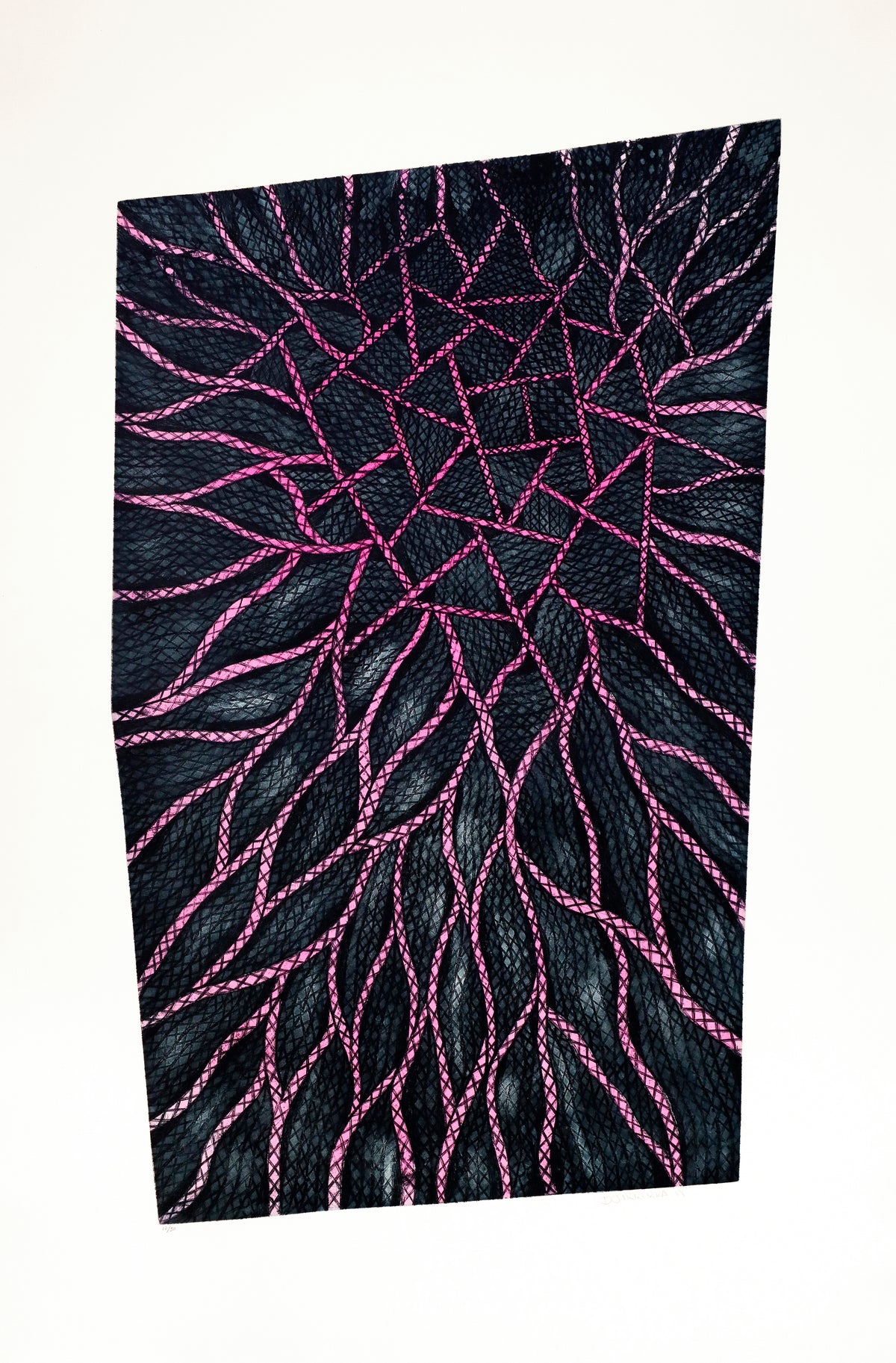 Djirrirra Wunuŋmurra | Buyku 4529-25