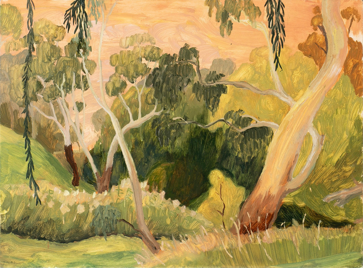 Jessie Rose Ford | Drooping Willow (Coburg Lake)