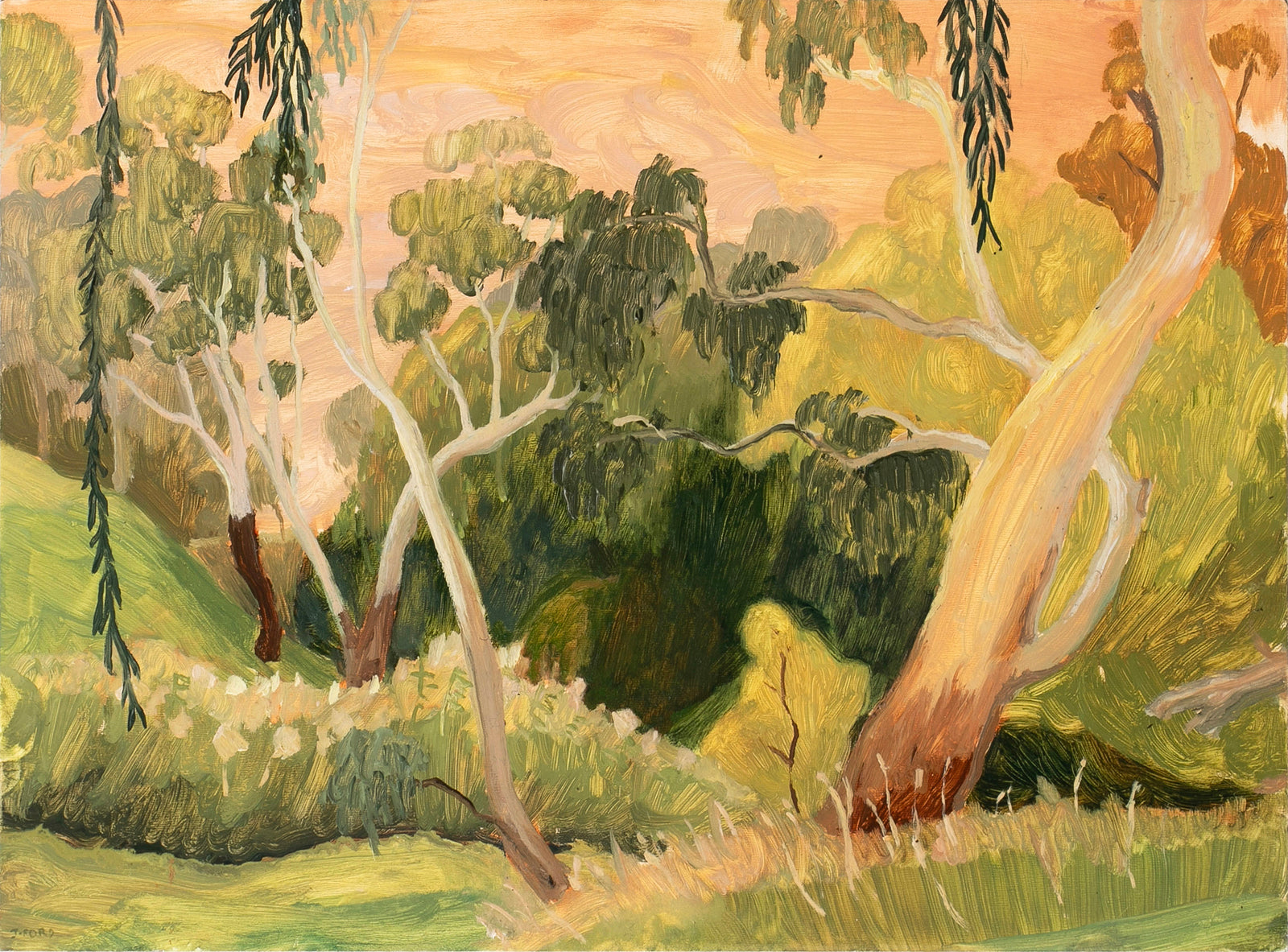 Jessie Rose Ford | Drooping Willow (Coburg Lake)