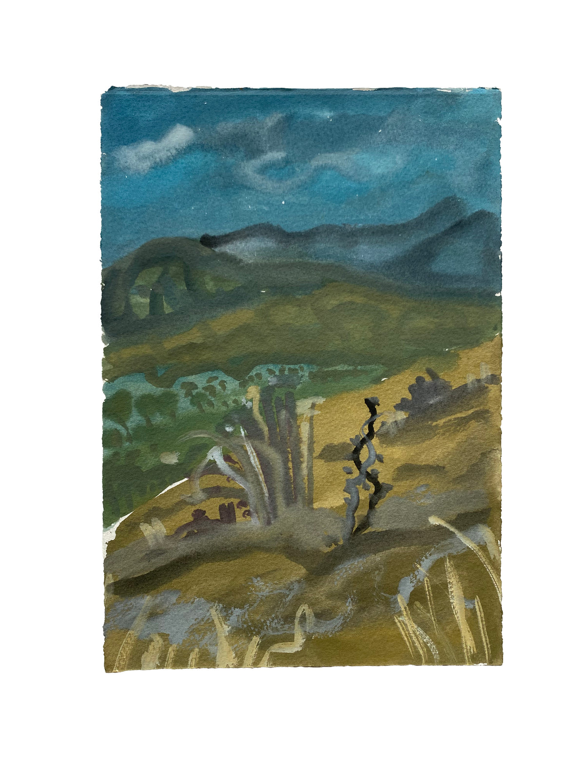 Maddie Sewall | Dry Grasses