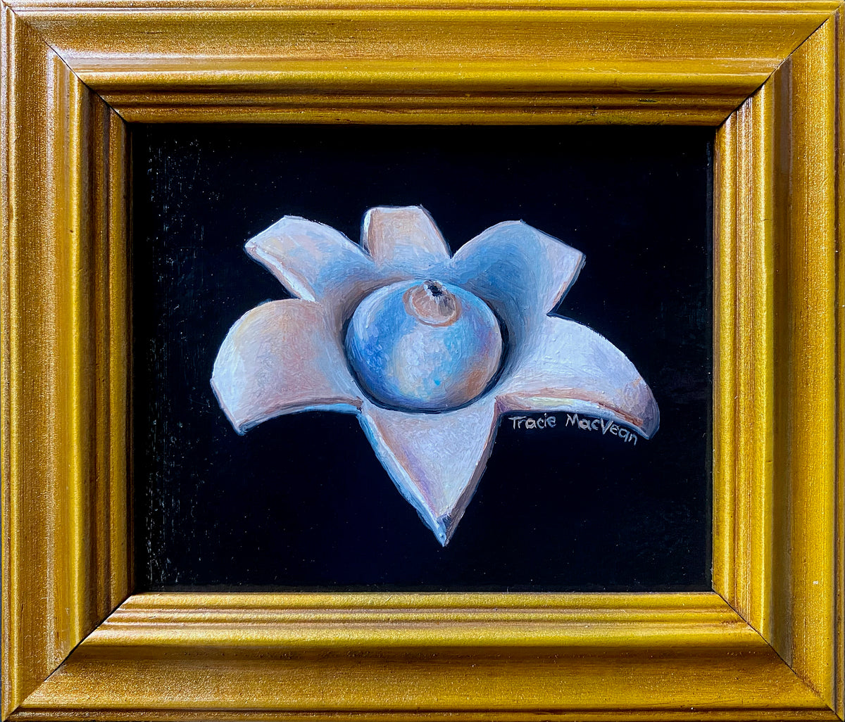 Tracie MacVean | Earthstar