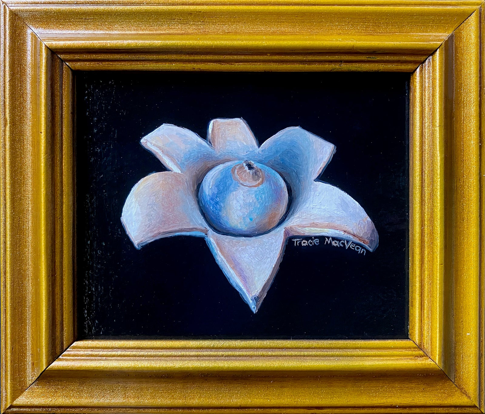 Tracie MacVean | Earthstar