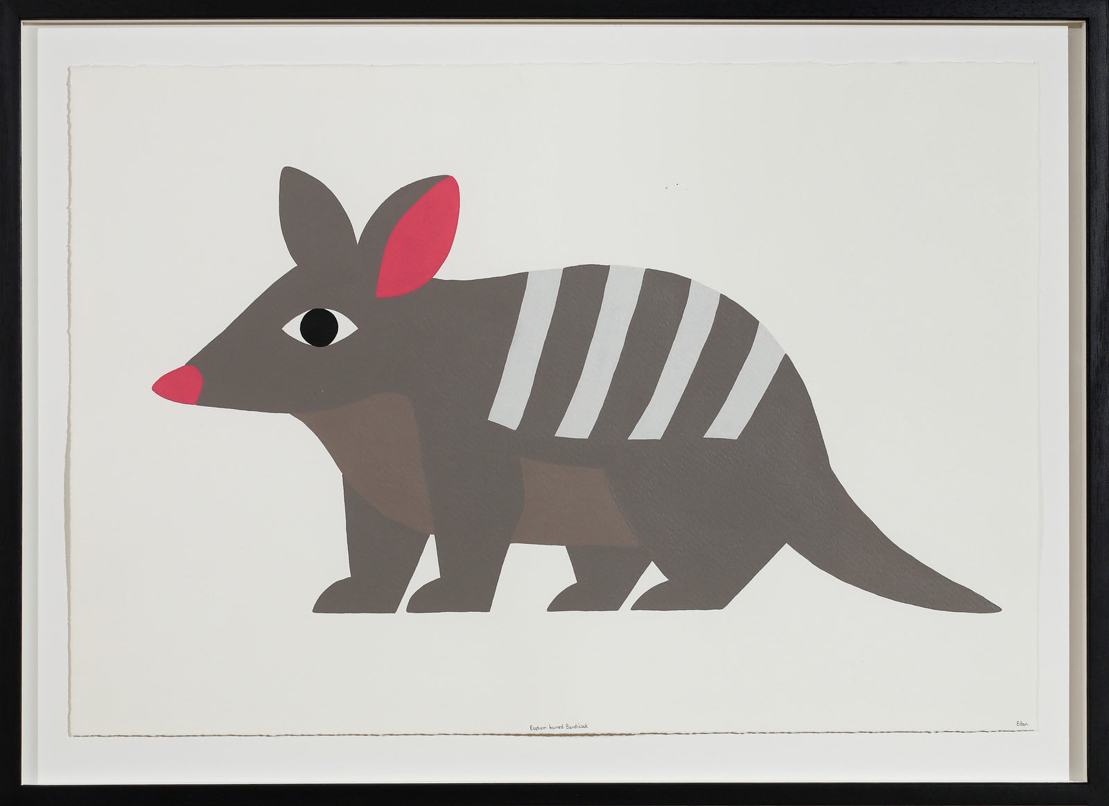 Edan Azzopardi | Eastern barred bandicoot