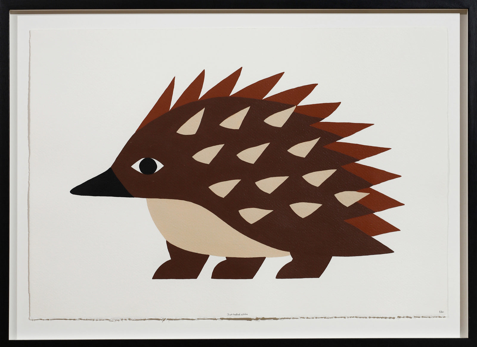 Edan Azzopardi | Short-beaked Echidna