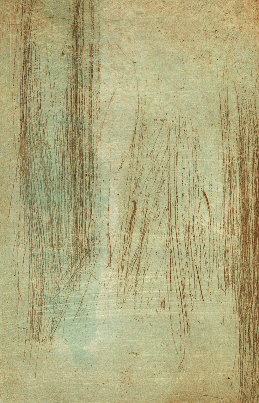 Cecilia Jacobs | Echoes