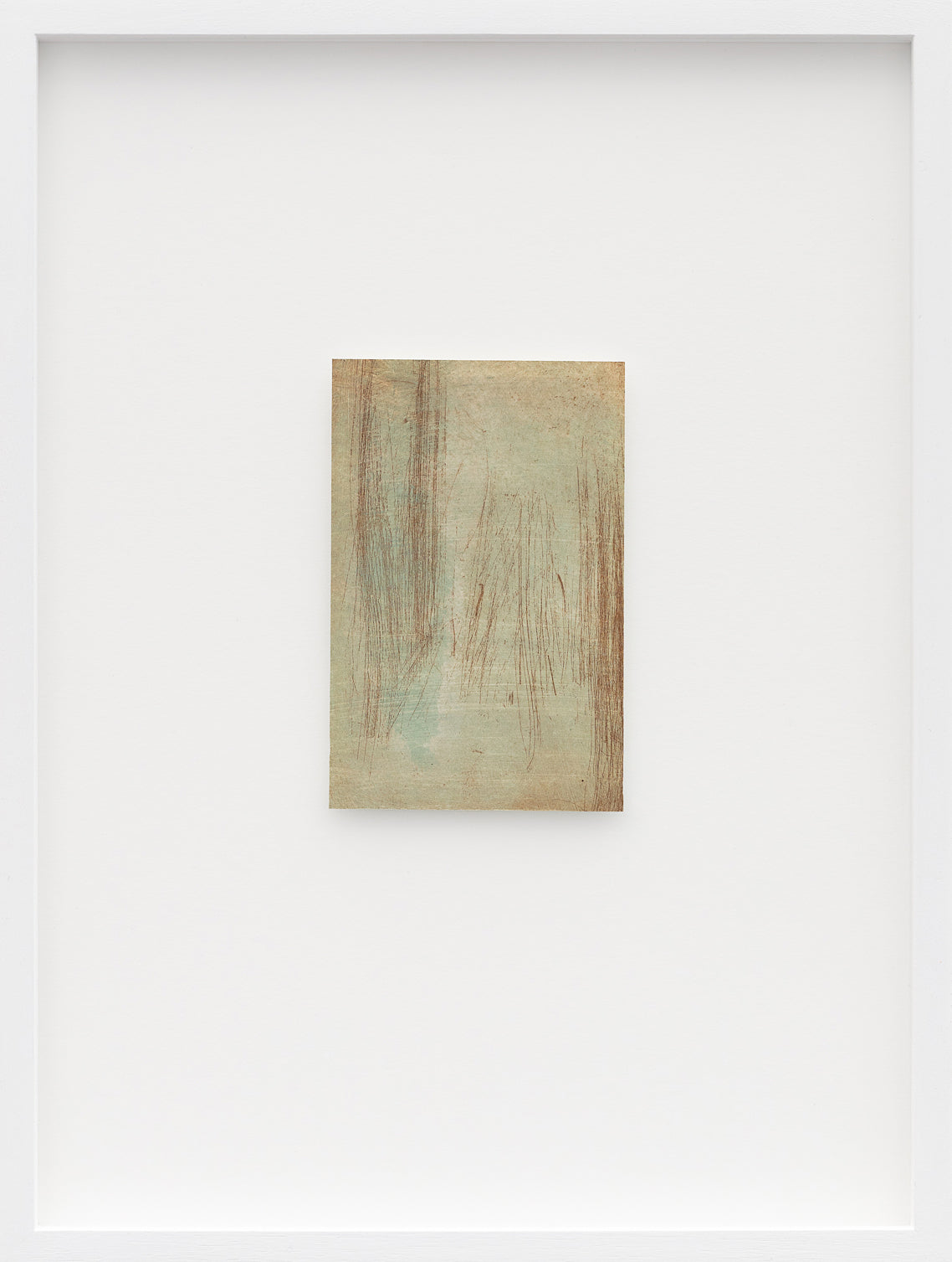 Cecilia Jacobs | Echoes