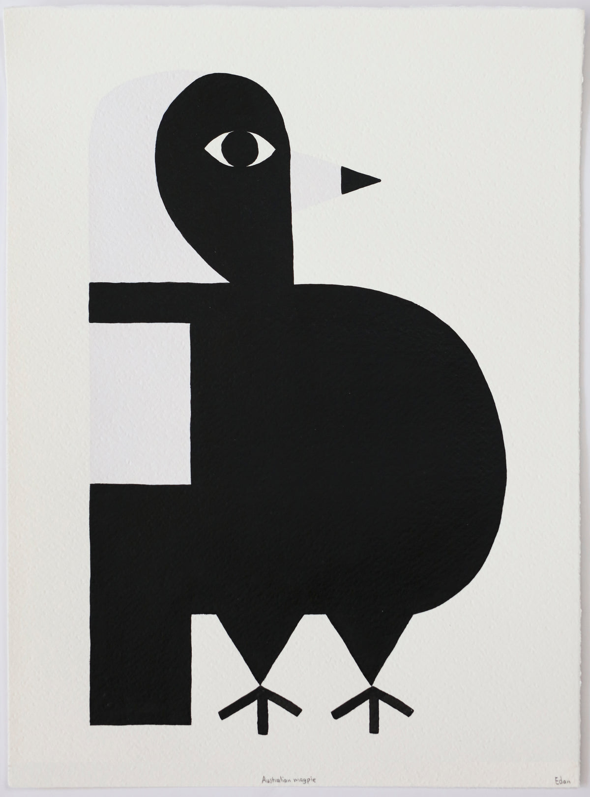 Edan Azzopardi | Australian Magpie