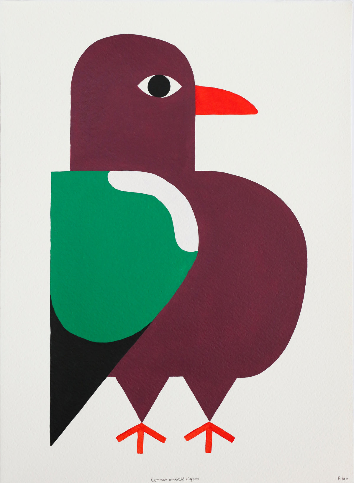 Edan Azzopardi | Common Emerald Pigeon