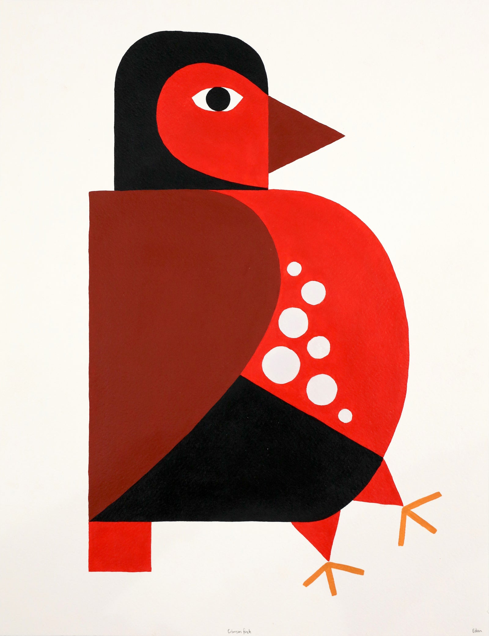 Edan Azzopardi | Crimson Finch